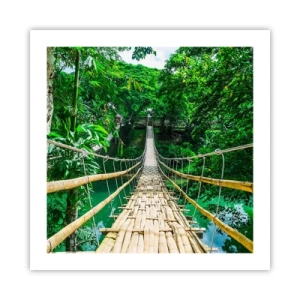 Plakat - Abebro over grønne områder - 50x50 cm