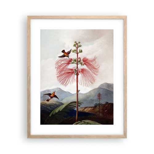 Plakat i ramme af lyst egetræ - I et tropisk paradis - 40x50 cm