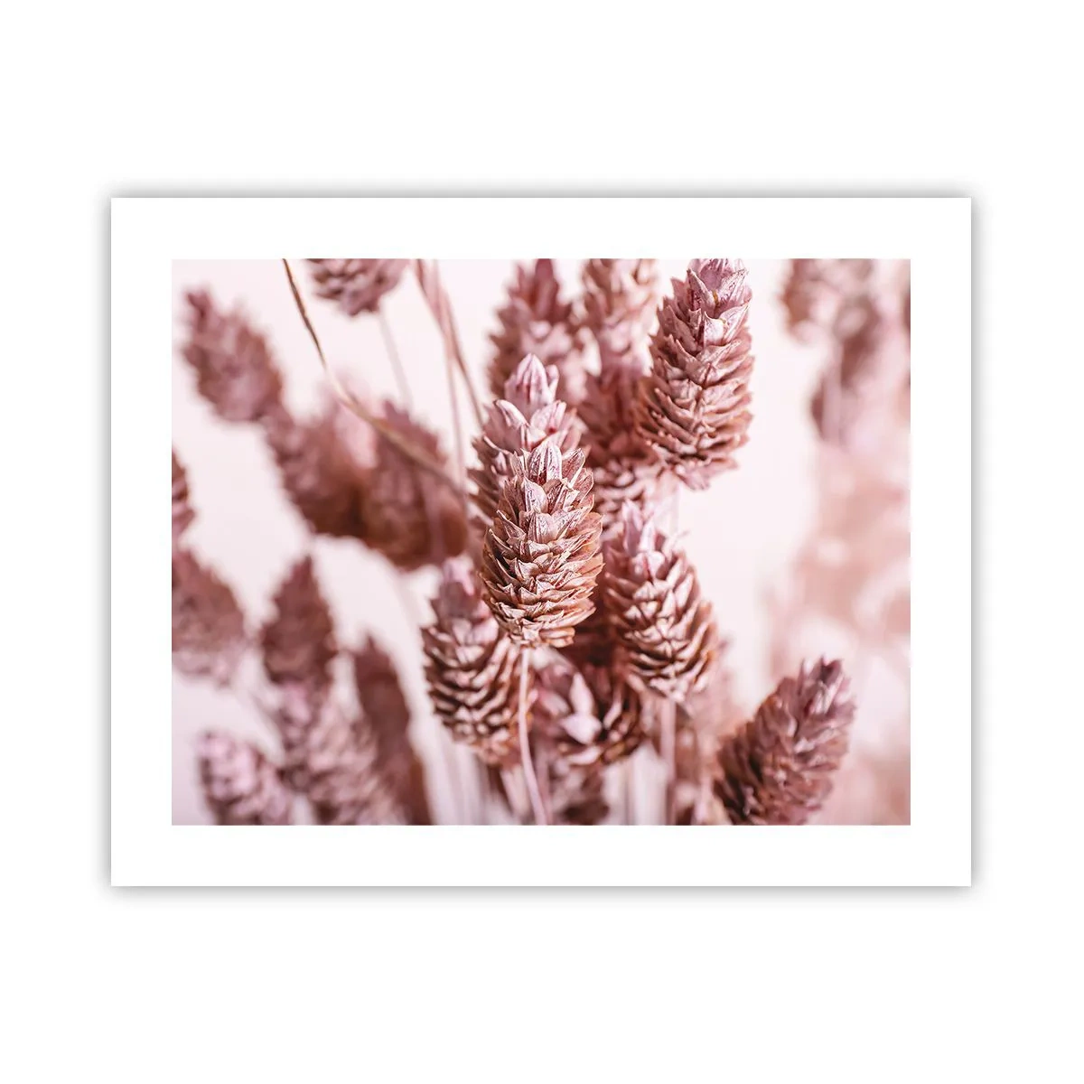 Plakat - Tilsyneladende ubemærket - 50x40 cm