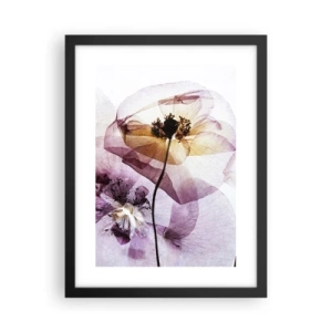 Plakat i sort ramme - Blomsterlegeme dias - 30x40 cm
