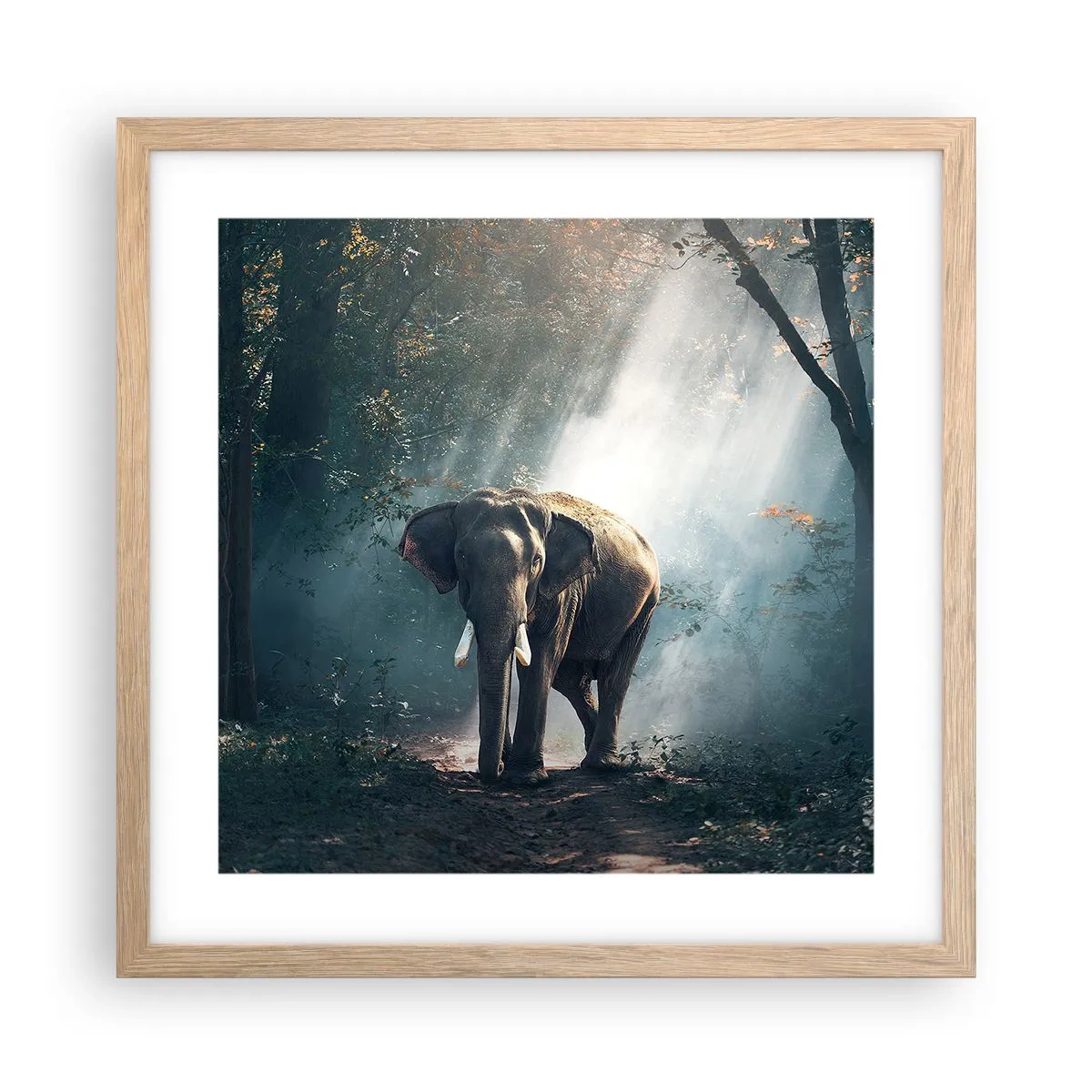 Plakat i ramme af lyst egetræ - En fredelig gåtur - 40x40 cm