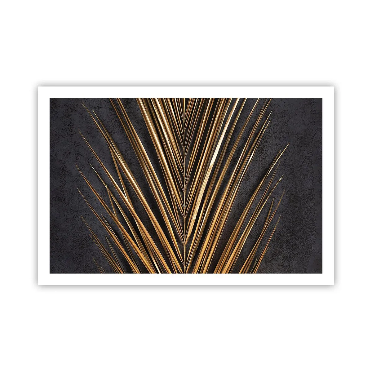 Plakat - Tropernes guld - 91x61 cm
