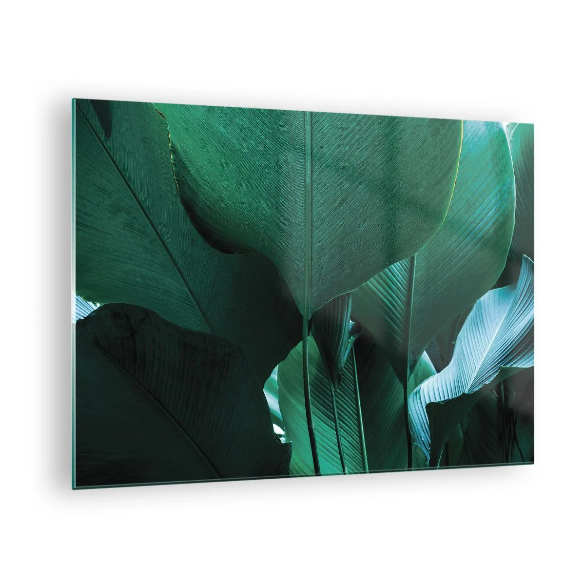 Billede på glas - Tropiske blade i intense grønne nuancer - 70x50cm - Mod lyset - Moderne vægdekoration til stue og soveværelse ARTTOR