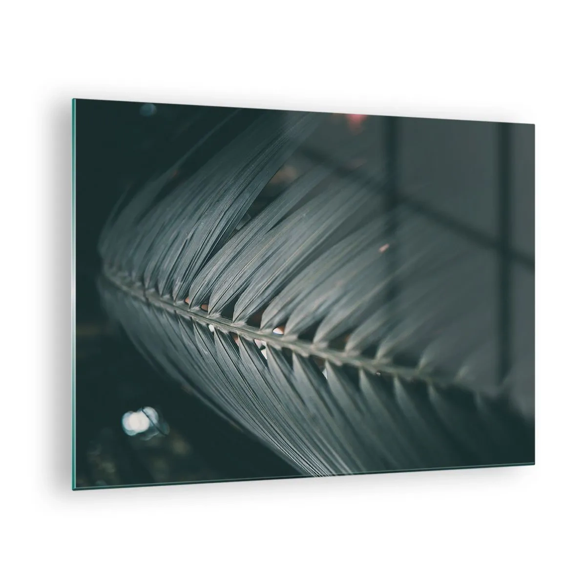 Billede på glas - Nærbillede af et mørkegrønt palmeblad med lysrefleksion - 70x50cm - Naturens præcision - Moderne vægdekoration til stue og soveværelse ARTTOR