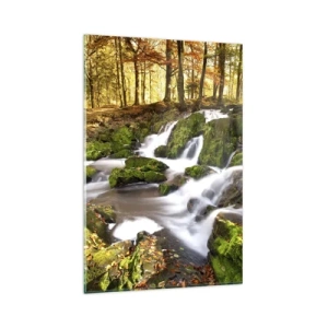 Billede på glas - Bystrøm gennem efterårsskoven - 80x120 cm