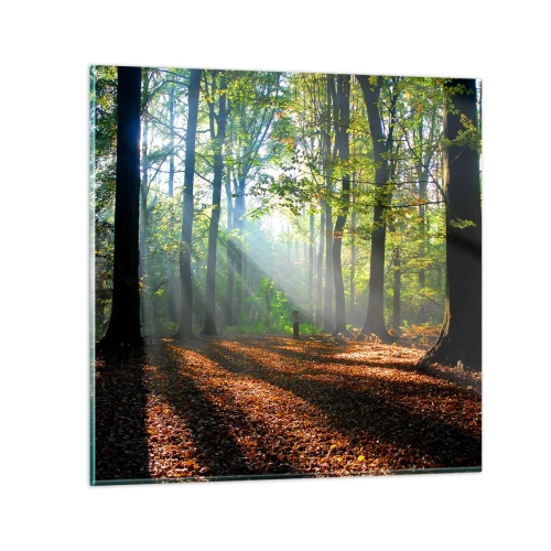 Billede på glas - Lys og skygger - 70x70 cm
