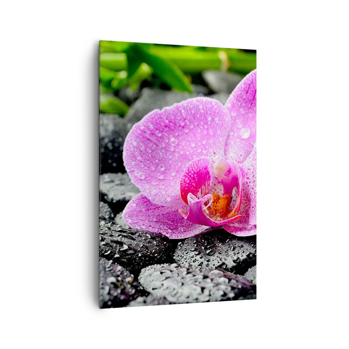 Lærredstryk - Billede på lærred - Som et åbent hjerte - 80x120 cm