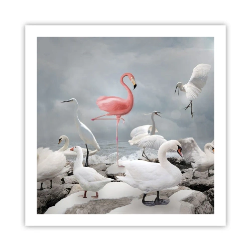 Plakat - Hvor kommer jeg fra? - 60x60 cm