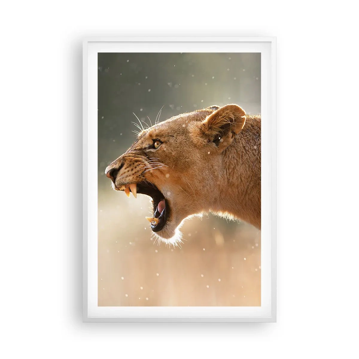 Plakat i hvid ramme - Prøv ikke at lytte - 61x91 cm