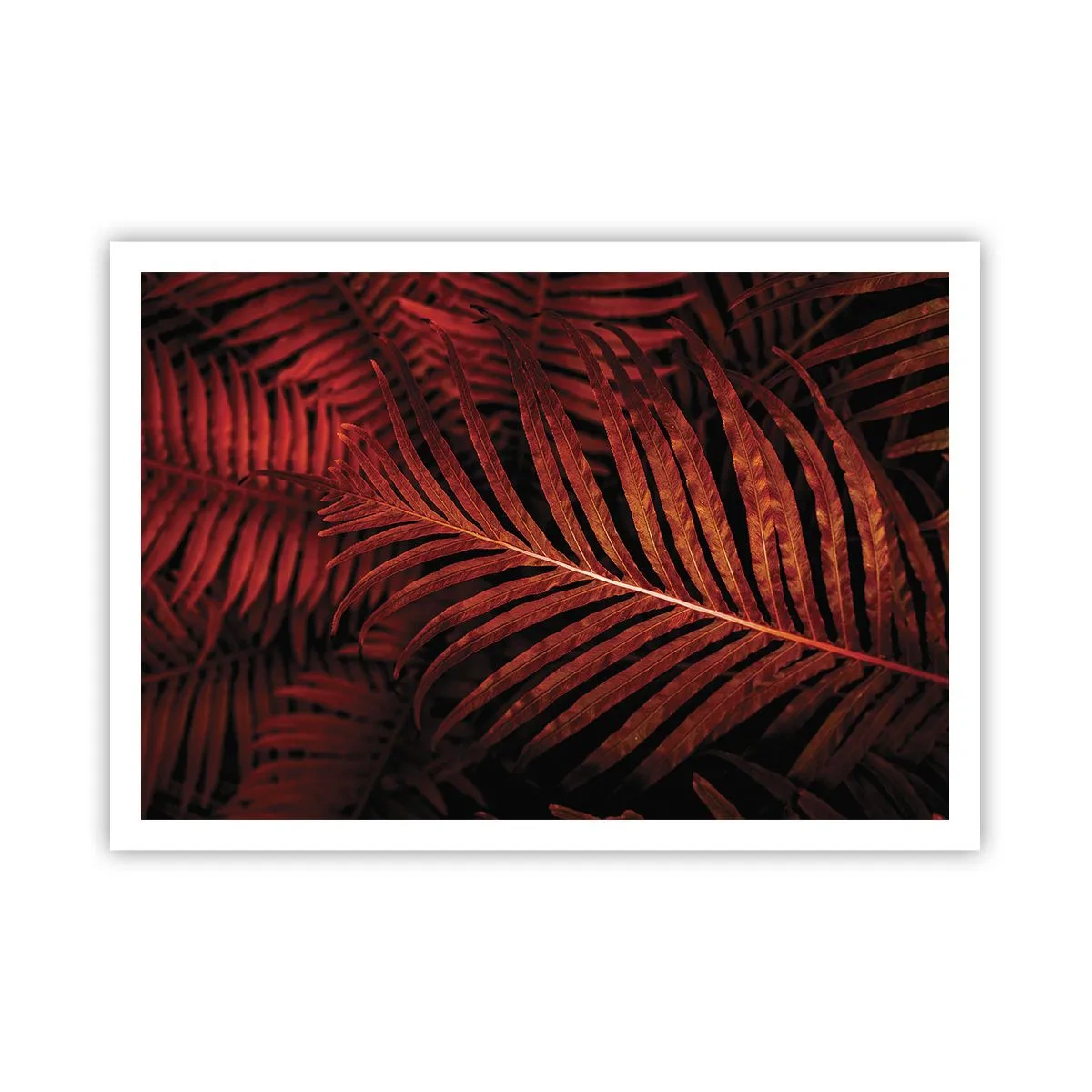 Plakat - Livets varme - 100x70 cm