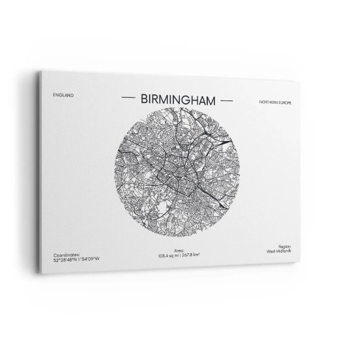 Lærredstryk - Billede på lærred - Birminghams anatomi - 100x70 cm