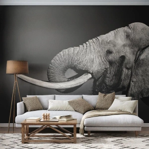 Fototapet Selvklæbende Deluxe Sticker - Ja, det er godt nu - Dyr, Elefant, Afrika - 100x70 cm