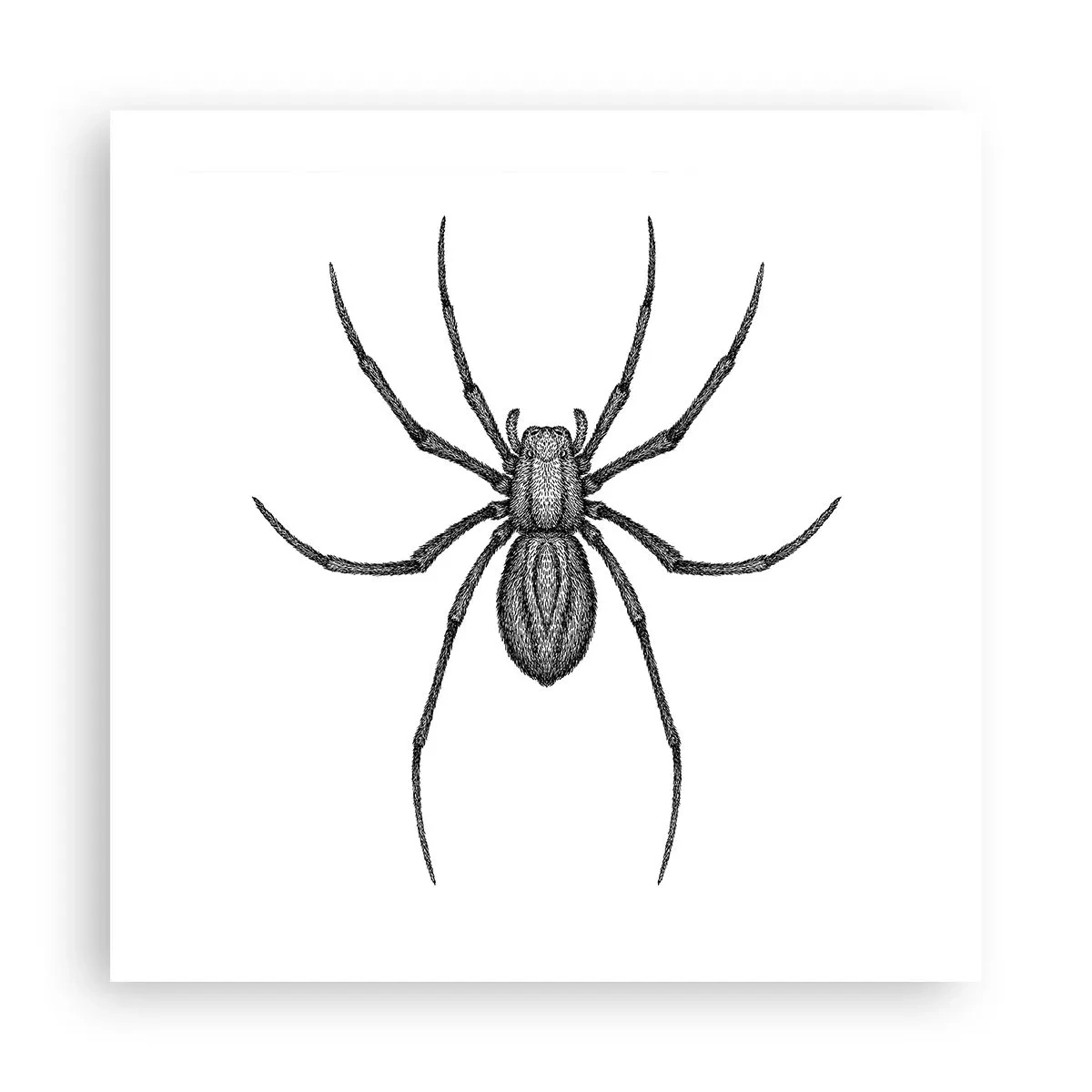 Plakat - Foruroligende præcision - 50x50 cm