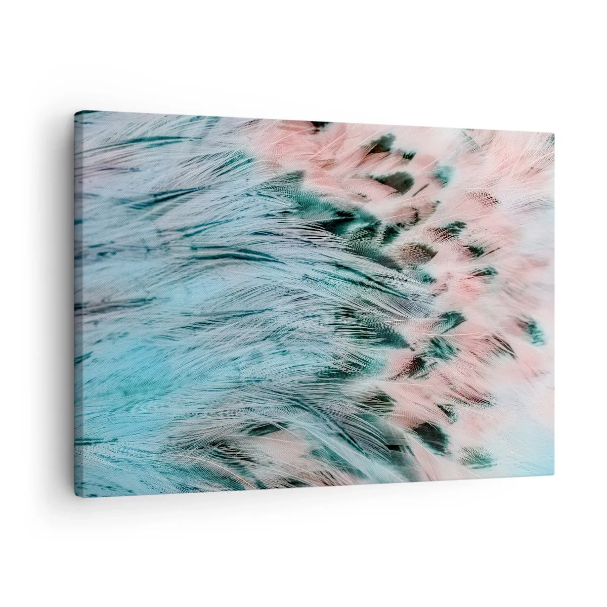 Lærredstryk - Billede på lærred - Nærbillede af fjer i pastelfarvede safirrosa farver - 70x50cm - Safir lyserød fnug - Moderne vægdekoration til stue og soveværelse ARTTOR