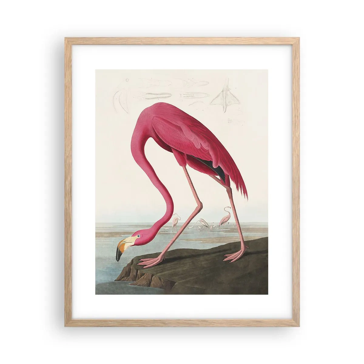 Plakat i ramme af lyst egetræ - Et forbløffende væsen - 40x50 cm