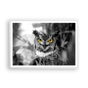 Plakat i hvid ramme - Intet kan skjules - 100x70 cm