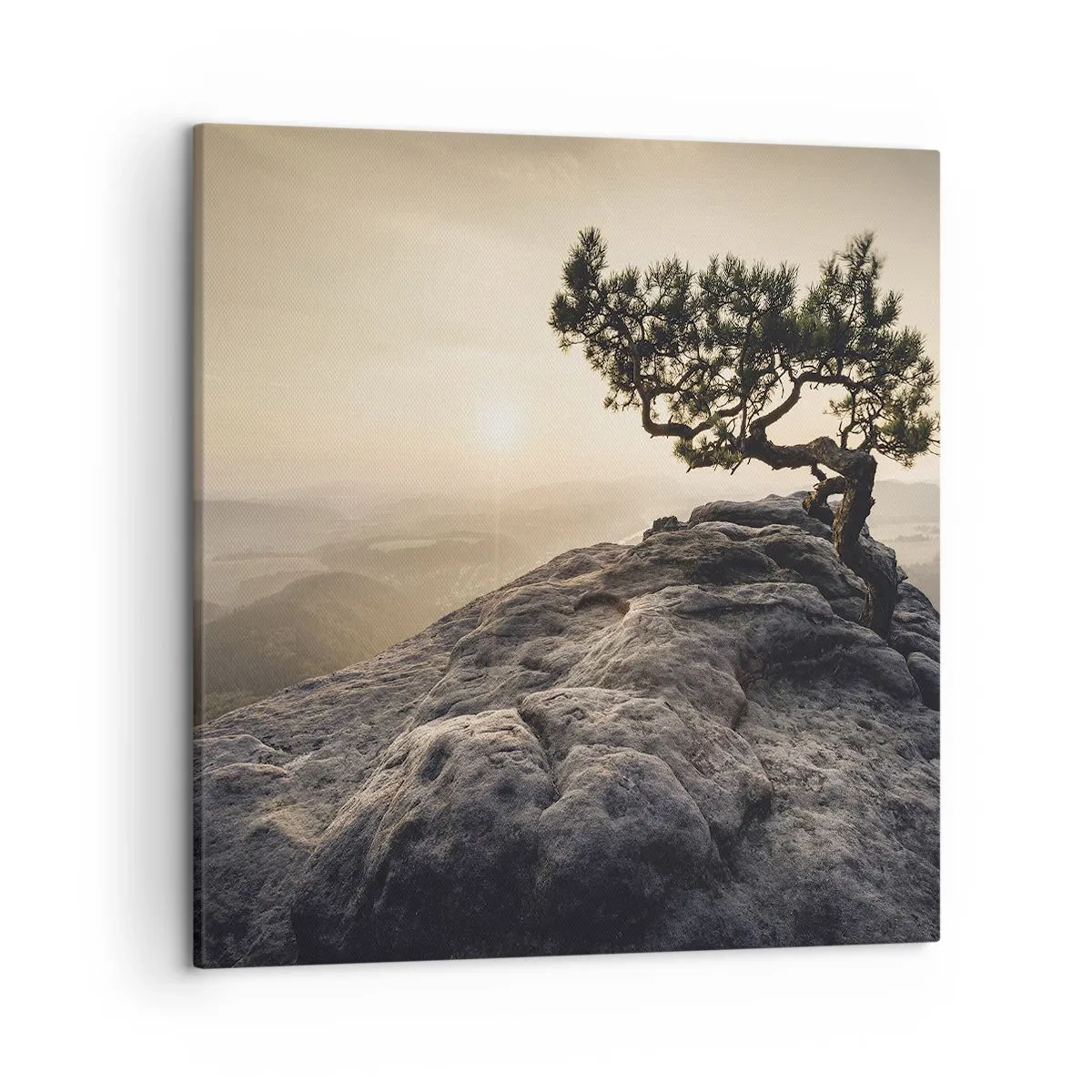 Lærredstryk - Billede på lærred - Livet vinder altid - 50x50 cm