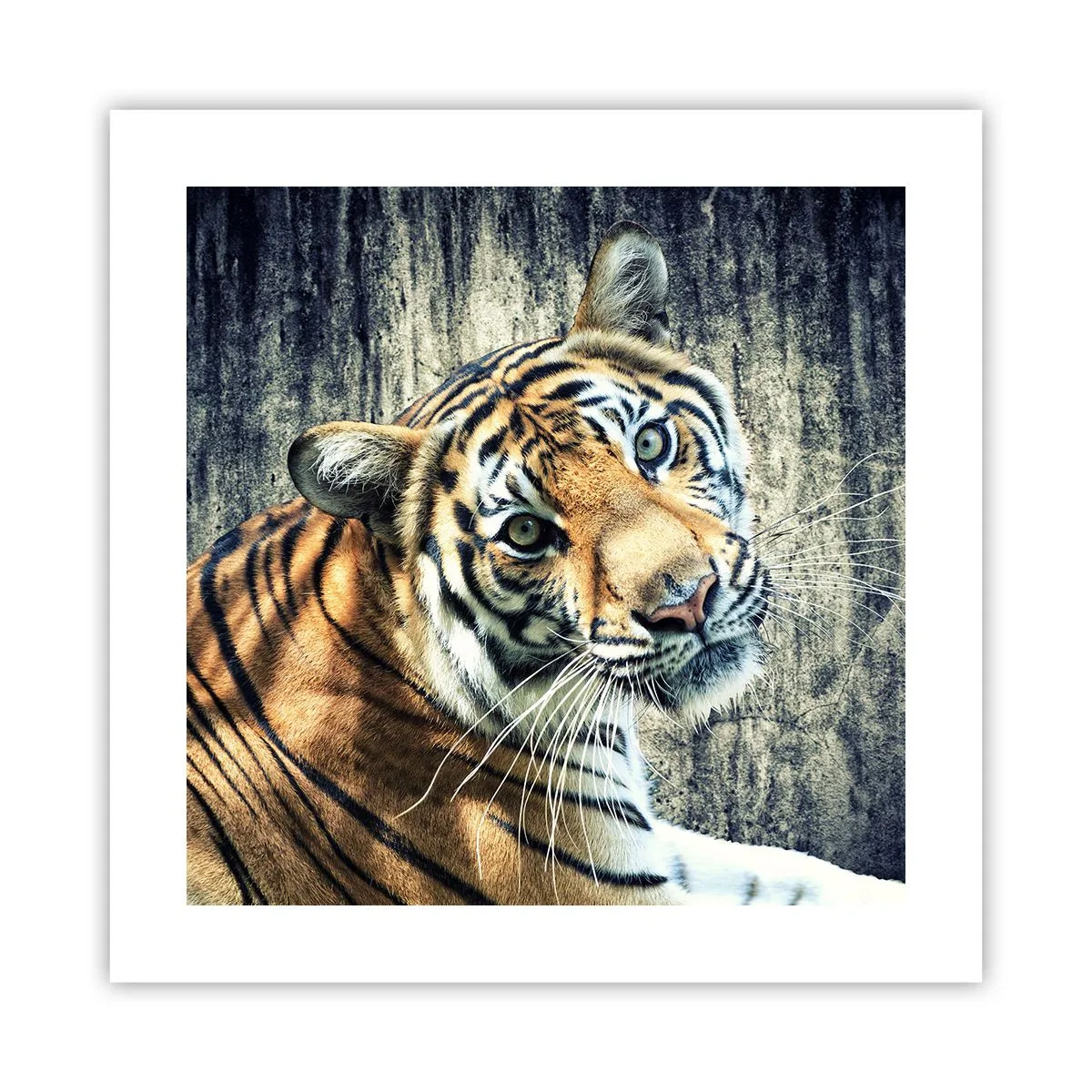 Plakat - Portræt i lysstrømme - 40x40 cm