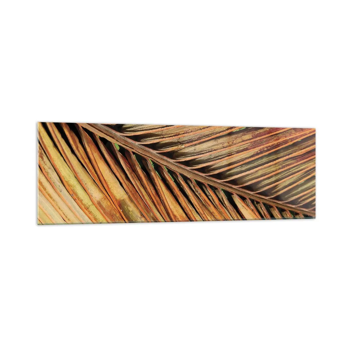 Billede på glas - Kokosnød guld - 160x50 cm