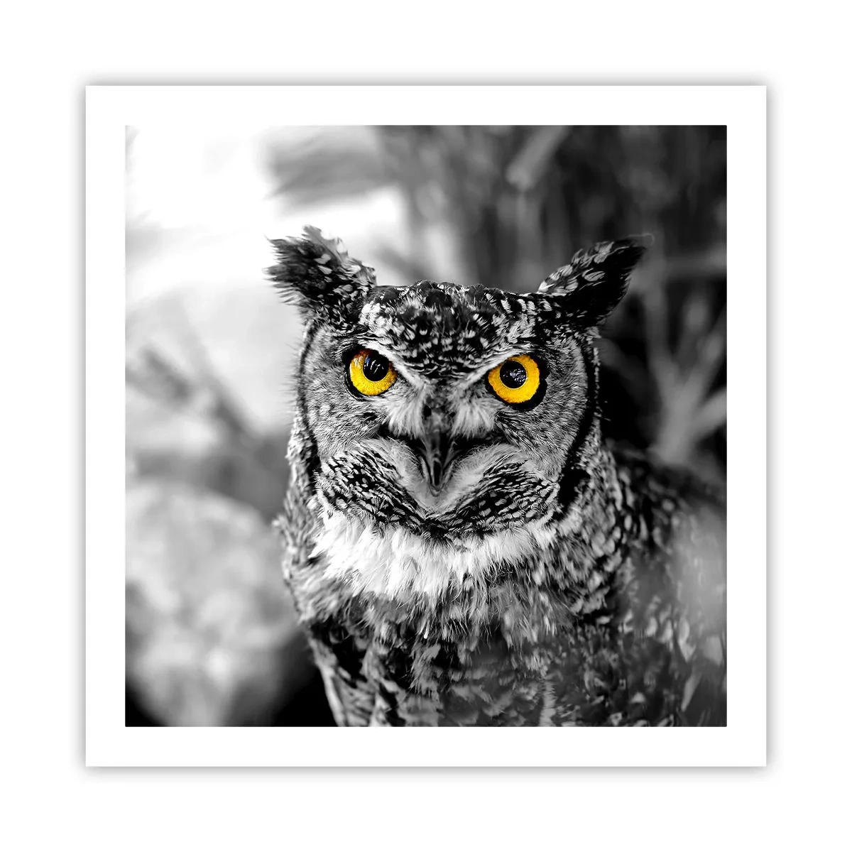 Plakat - Intet kan skjules - 60x60 cm