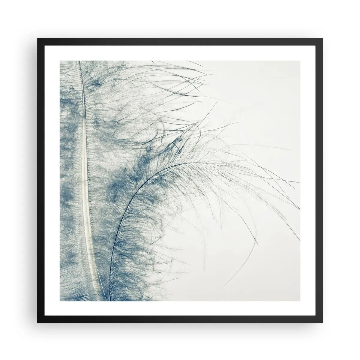 Plakat i sort ramme - Naturens hvisken - 60x60 cm