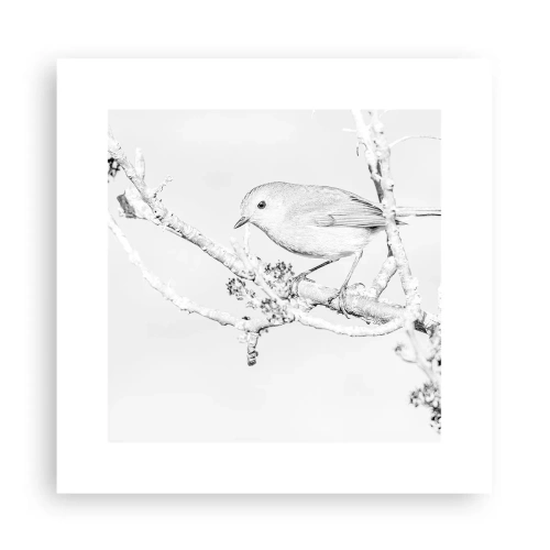 Plakat - Vintermorgen - 30x30 cm