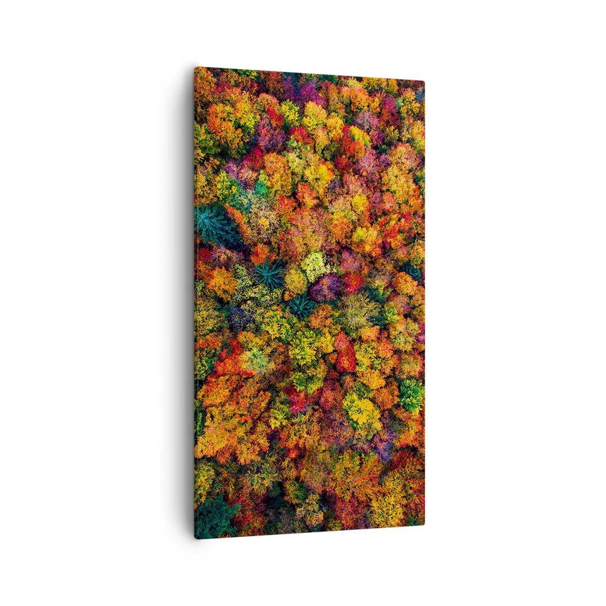Lærredstryk - Billede på lærred - Buket af efterårstræer - 55x100 cm