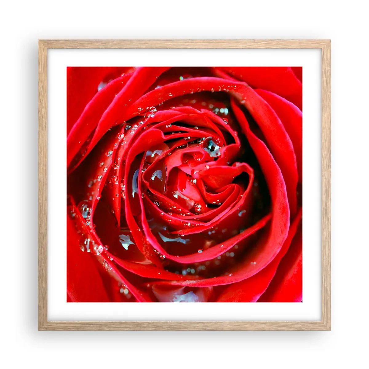 Plakat i ramme af lyst egetræ - I dråber af dug - 50x50 cm