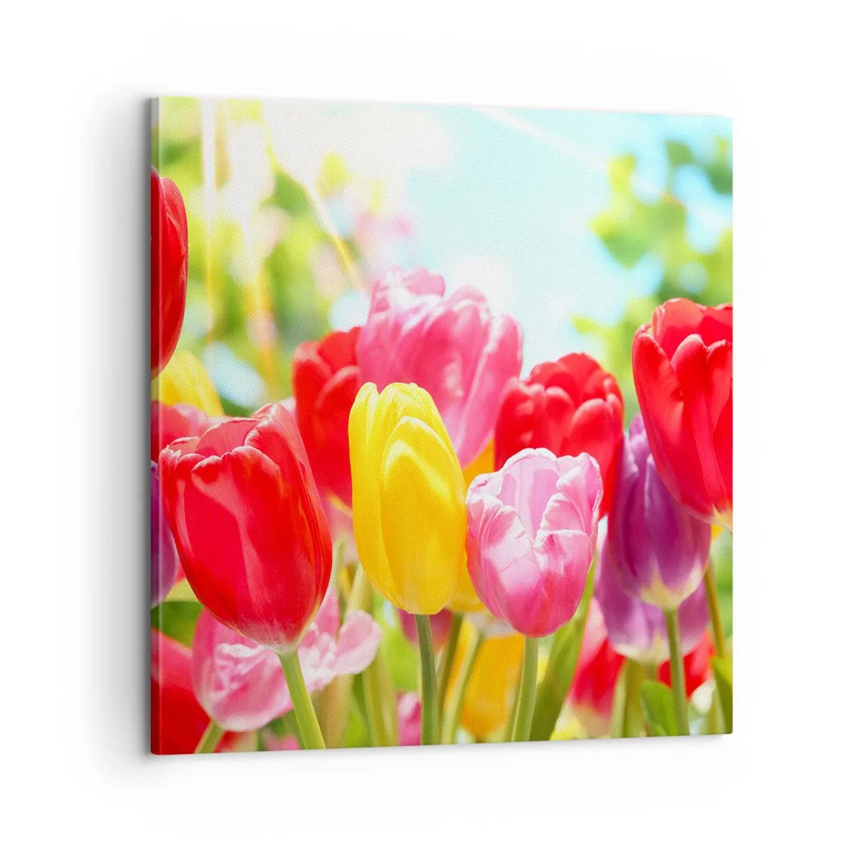 Lærredstryk - Billede på lærred - Det er os, maj måneds farver! - 60x60 cm