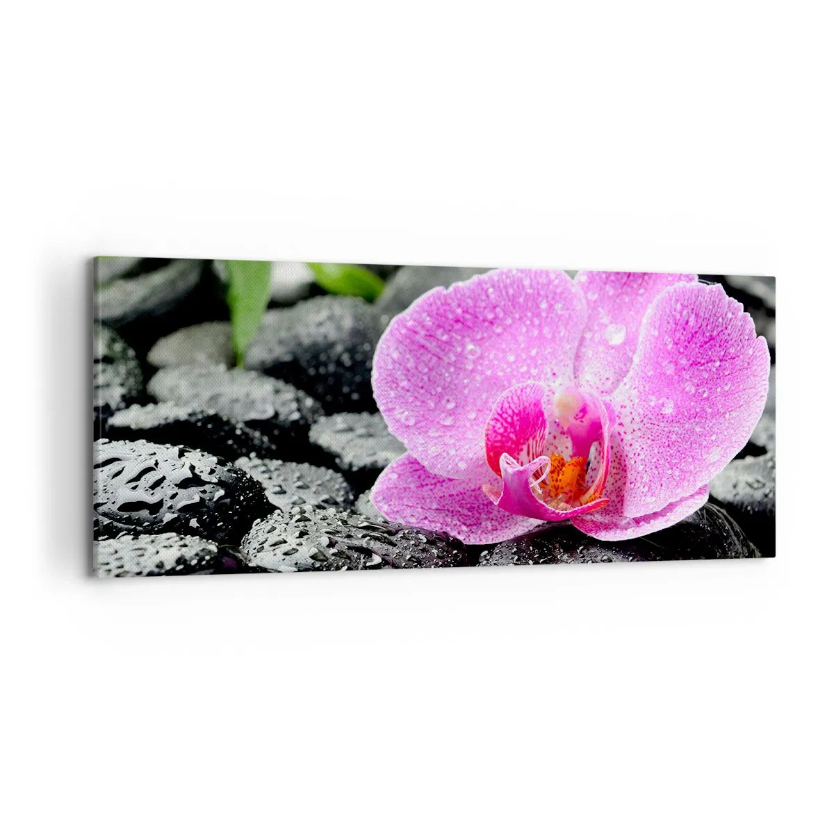 Lærredstryk - Billede på lærred - Som et åbent hjerte - 120x50 cm