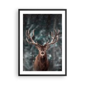 Plakat i sort ramme - Portræt af en hjort med imponerende gevirer mod en vinterskov som baggrund - 50x70cm - Skovens konge kronet - Moderne vægdekoration til stue og soveværelse ARTTOR