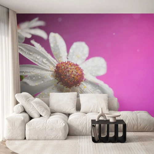 Fototapet Premium Sand - Beskedent i sin skønhed - Blomst, Natur, Have - 100x70 cm