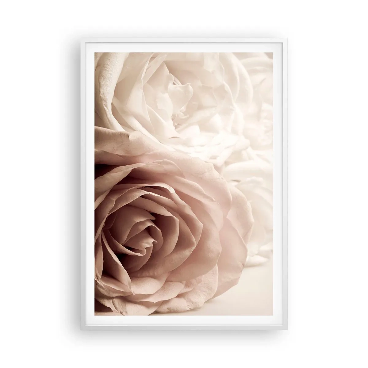 Plakat i hvid ramme - I rosens hjerte - 70x100 cm