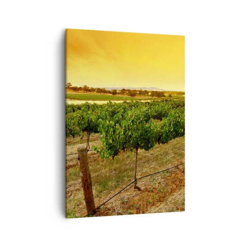 Lærredstryk - Billede på lærred - Drik solen - 50x70 cm