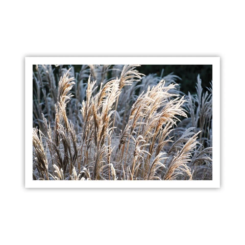Plakat - Pyntet med frost - 91x61 cm