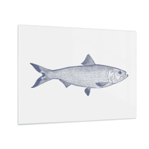 Billede på glas - Skitse af en fisk i vintagestil på en lys baggrund - 70x50cm - Hilsner fra de nordlige have - Moderne vægdekoration til stue og soveværelse ARTTOR
