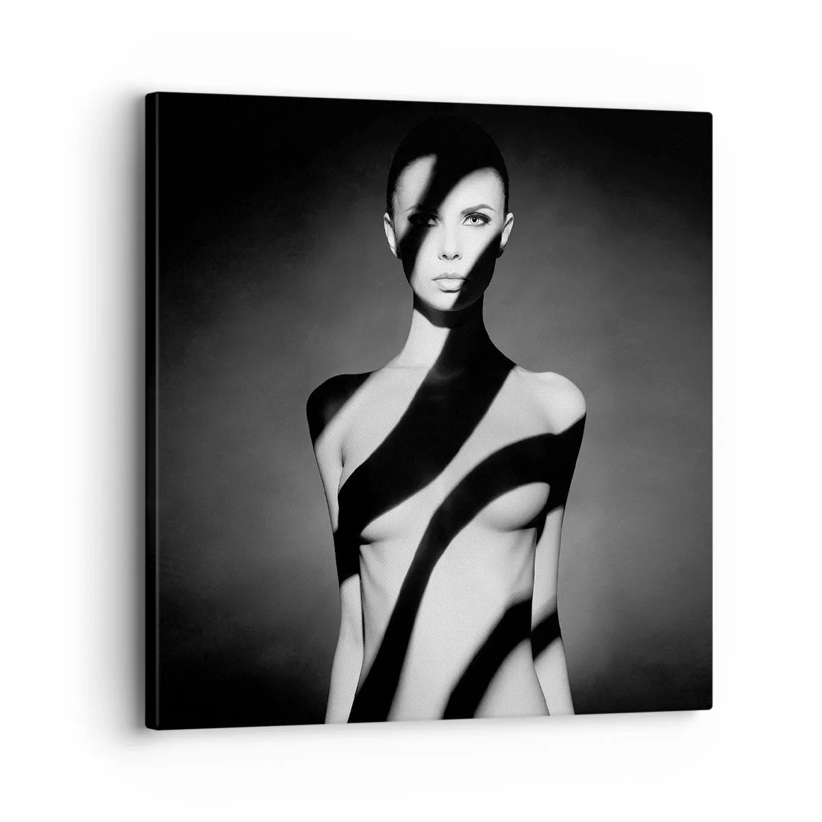 Lærredstryk - Billede på lærred - I blænding og skygge - 30x30 cm