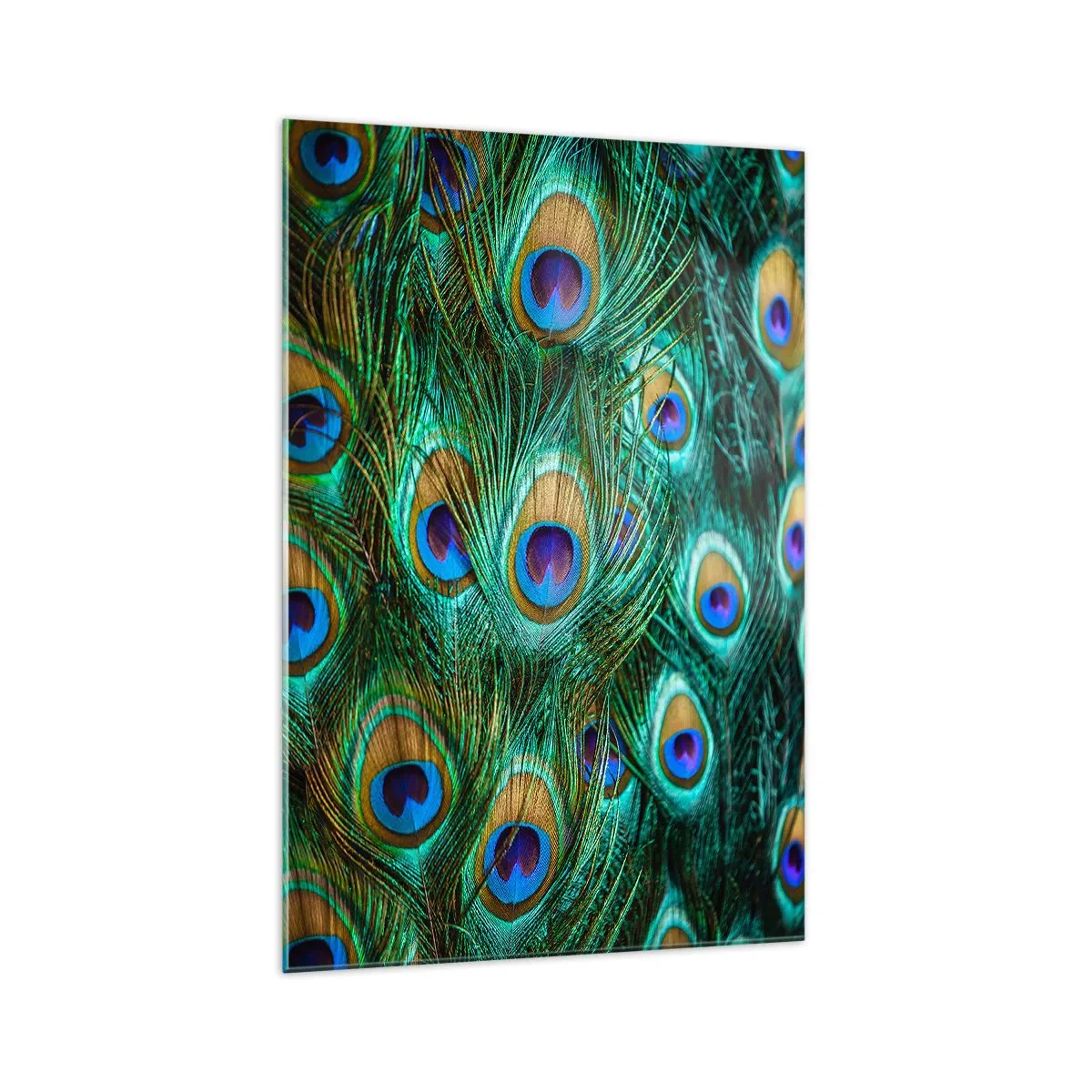 Billede på glas - En påfugls blik - 70x100 cm