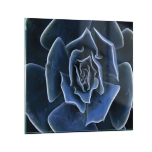 Billede på glas - Ørkenblomst - 30x30 cm
