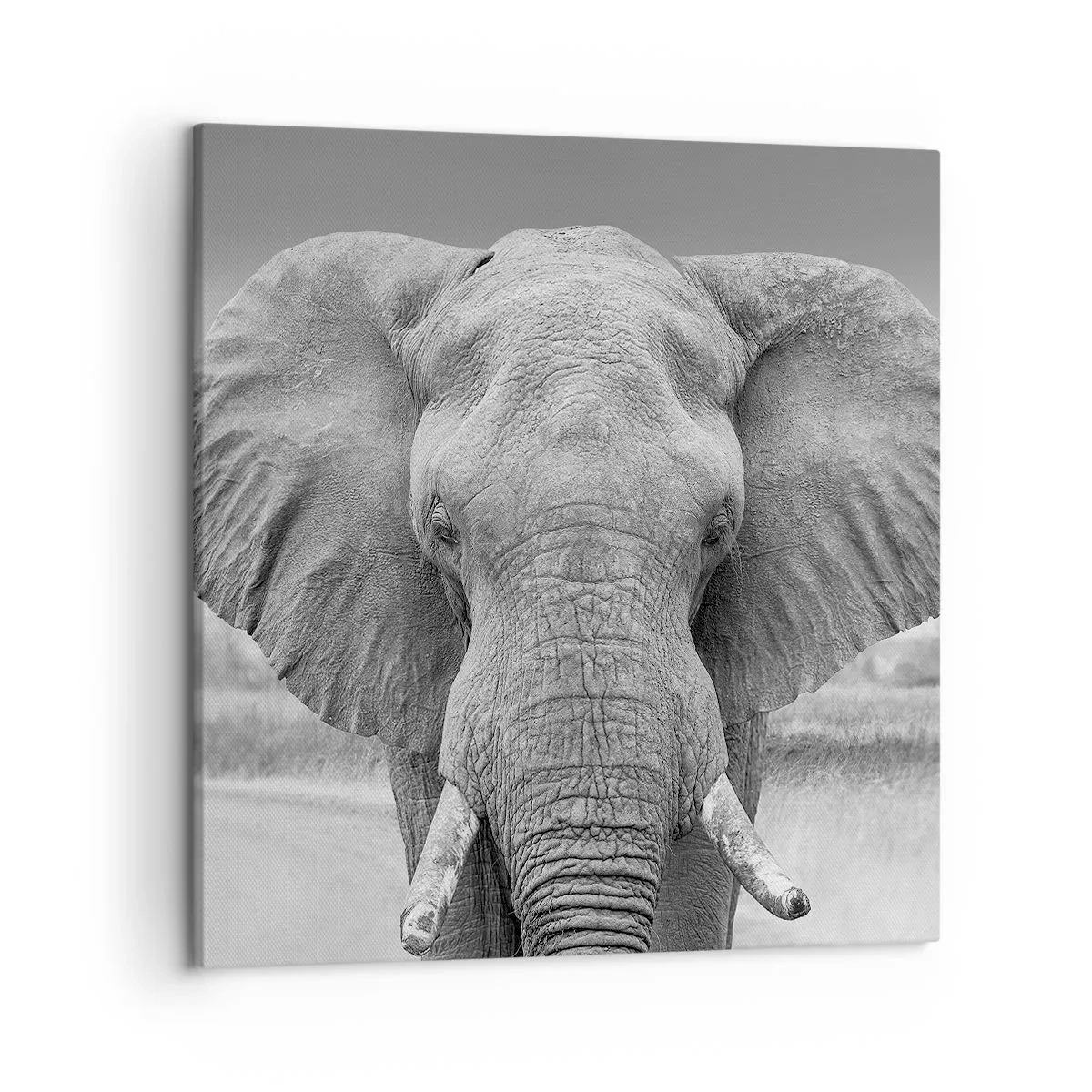 Lærredstryk - Billede på lærred - Velkommen til min verden - 50x50 cm