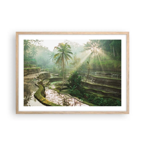 Plakat i ramme af lyst egetræ - Voksende op i solen - 70x50 cm