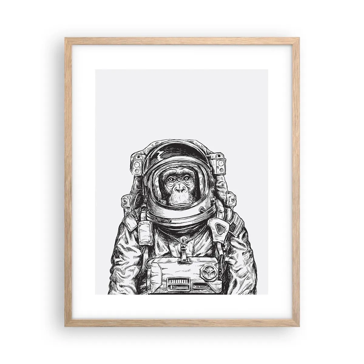 Plakat i ramme af lyst egetræ - Alternativ evolution - 40x50 cm