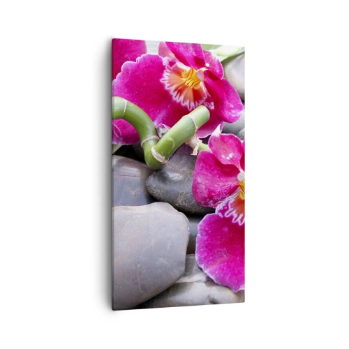 Lærredstryk - Billede på lærred - Kulde og varme - 55x100 cm