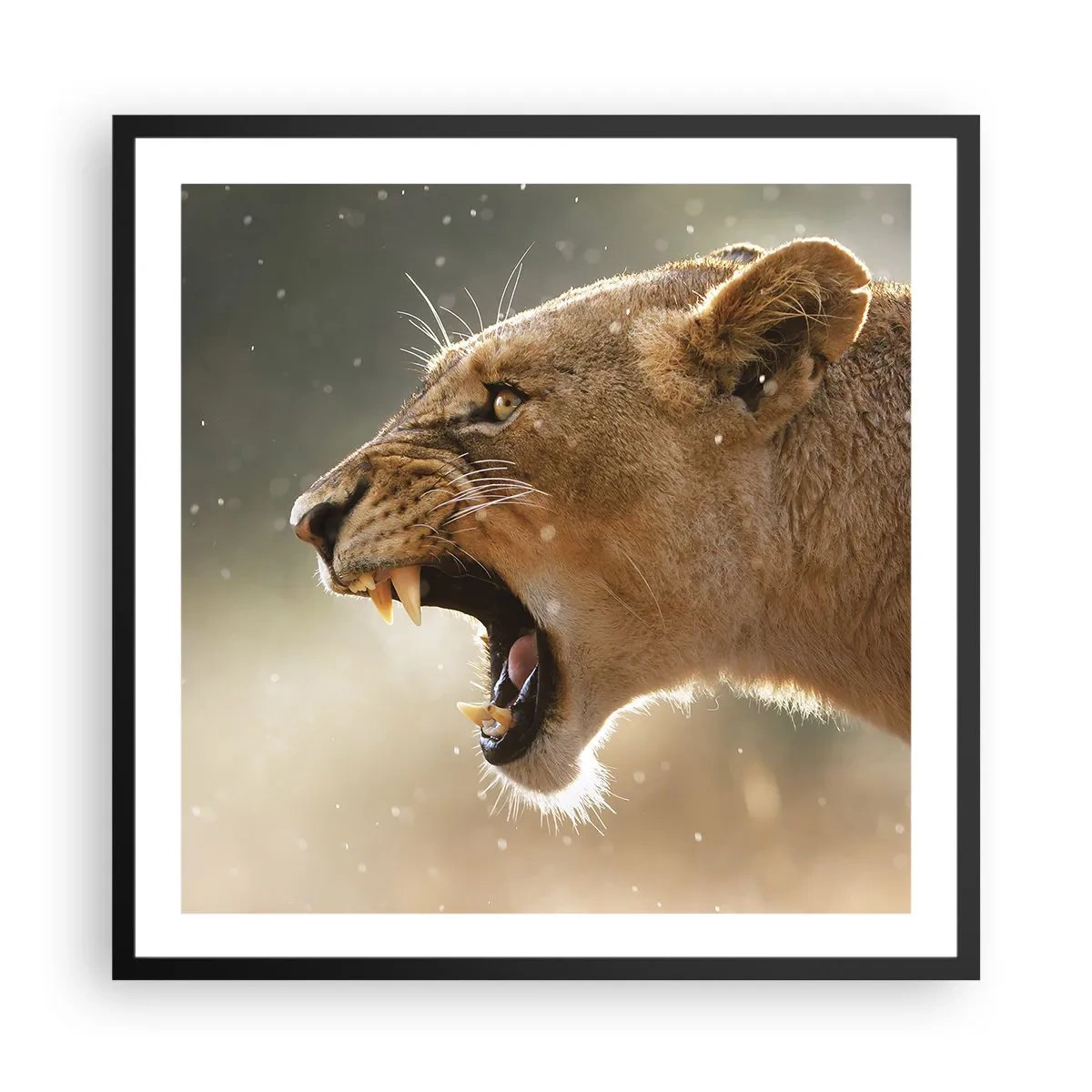 Plakat i sort ramme - Prøv ikke at lytte - 60x60 cm