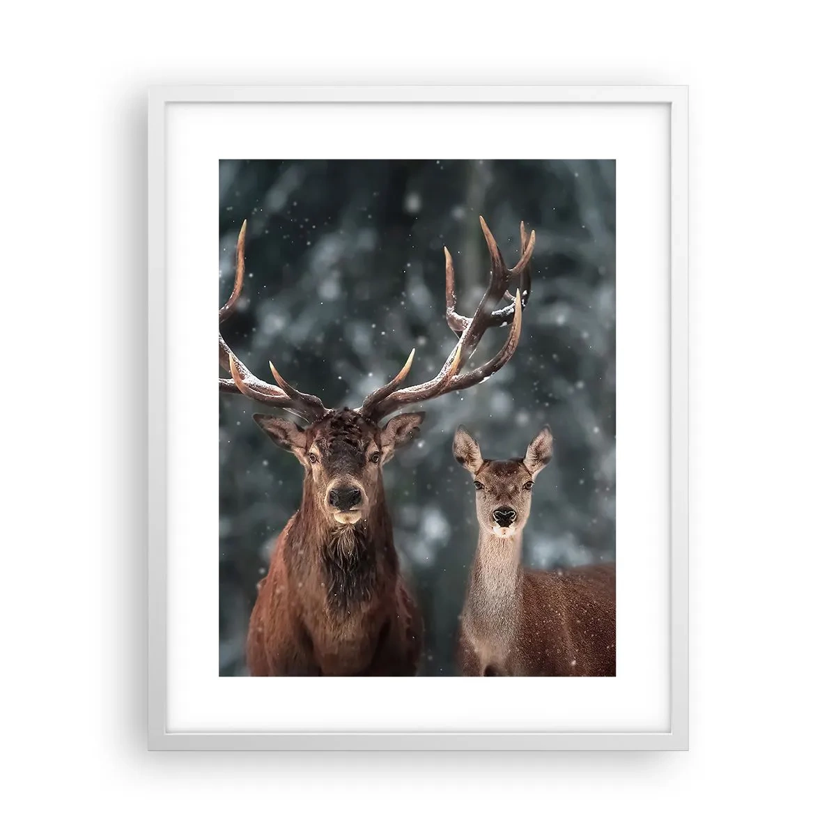 Plakat i hvid ramme - Skovens herre og hans kone - 40x50 cm