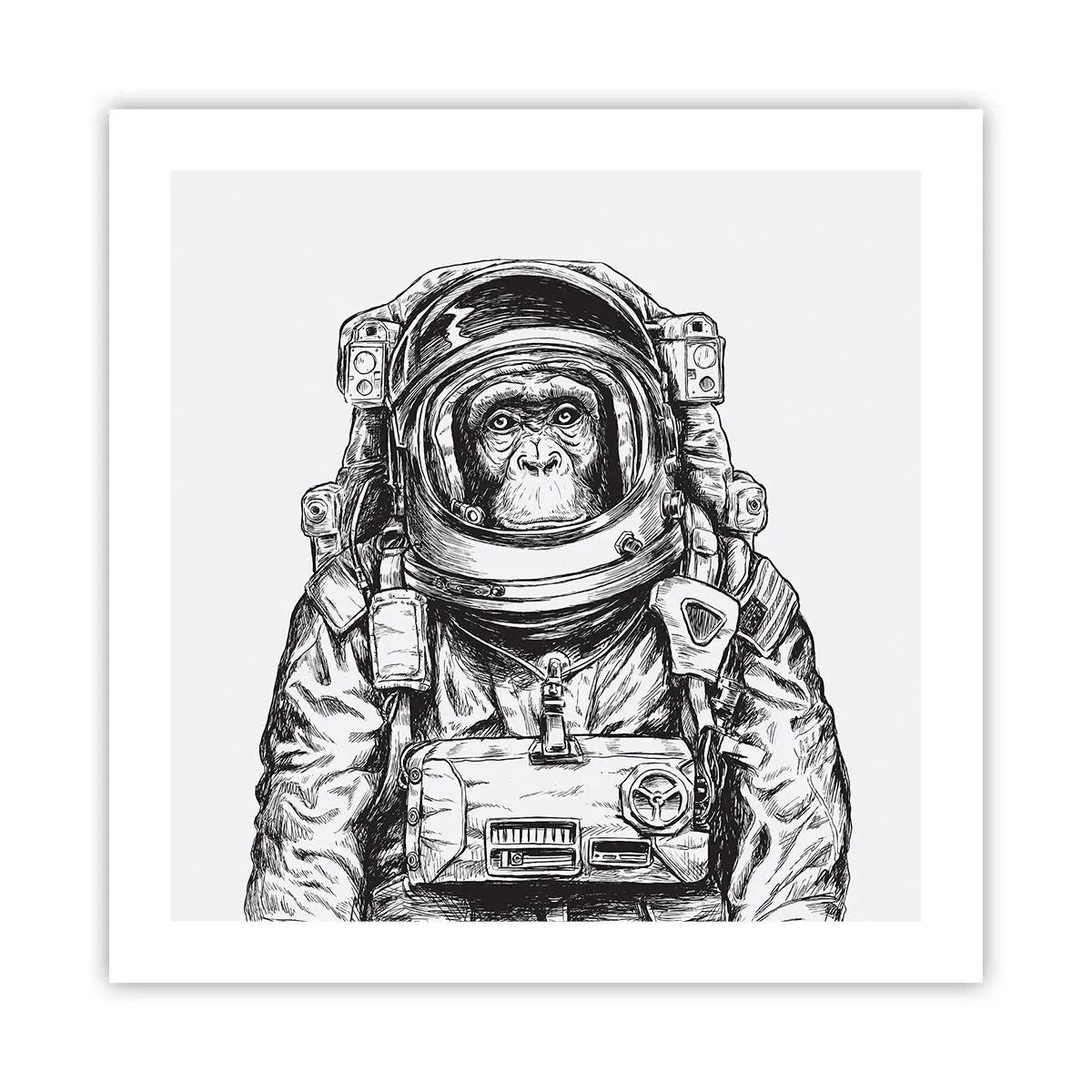 Plakat - Alternativ evolution - 50x50 cm