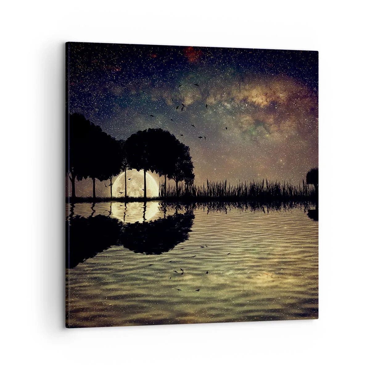 Lærredstryk - Billede på lærred - En nat på kanten af verden - 50x50 cm