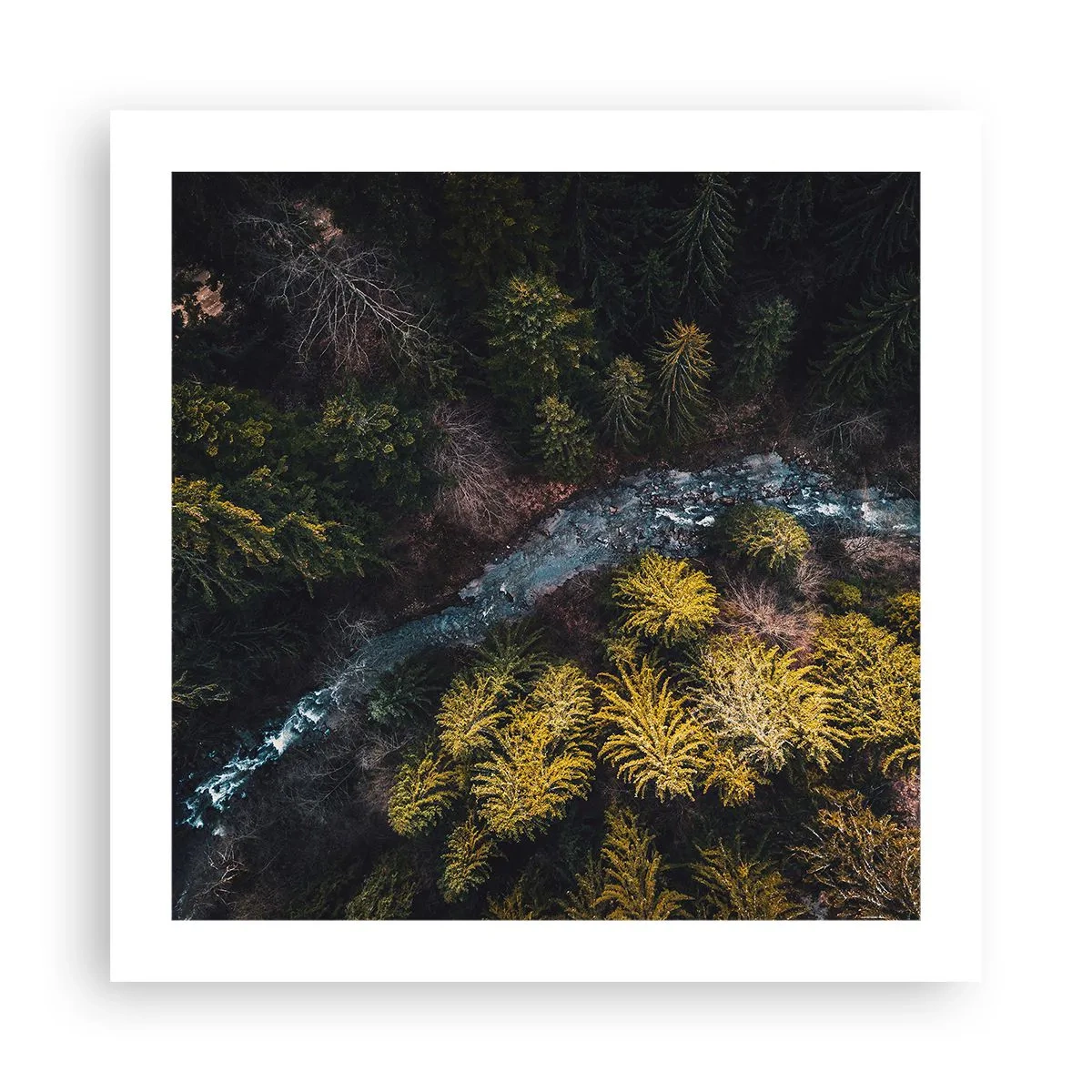 Plakat - Hurtigt, stadig hurtigere - 50x50 cm