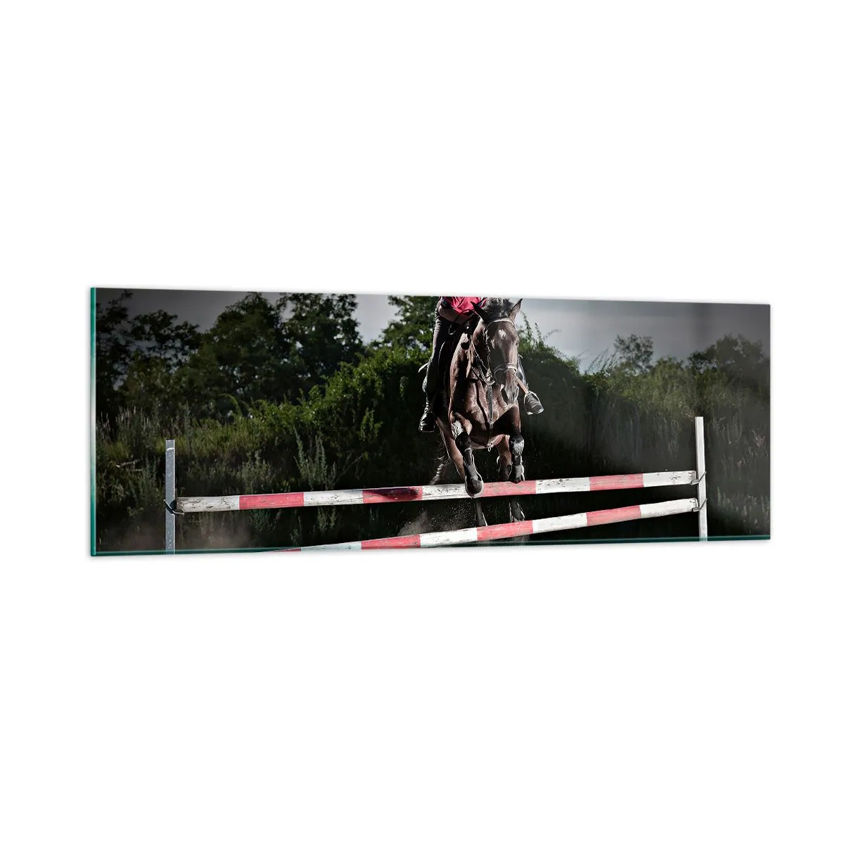Billede på glas - Sammen om sejren - 90x30 cm