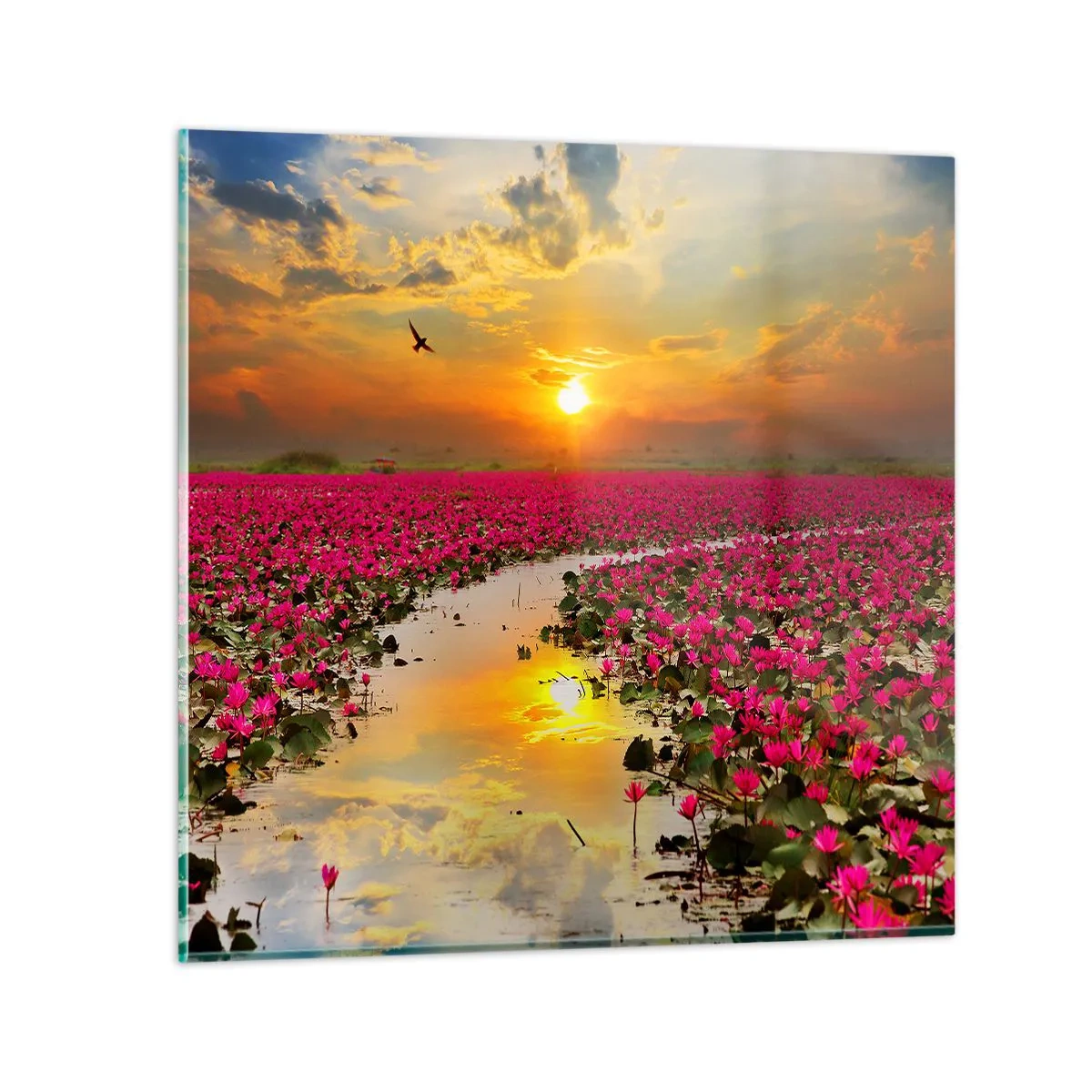 Billede på glas - Søens hemmelige liv - 70x70 cm